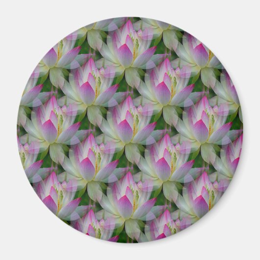 Loving Lotuses... Magneet (Voorkant)