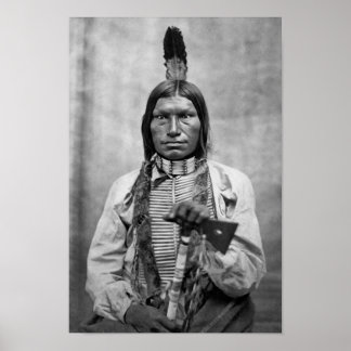 Low Dog - Native American foto Poster