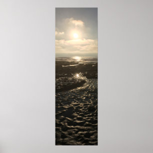 Low Tide bij La Jolla Poster