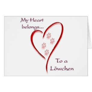 Löwchen Coeur Belongs