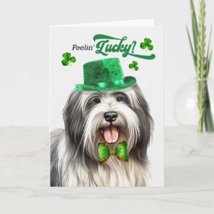 Lowchen-hond voelt zich Lucky St. Patrick's Day Feestdagen Kaart