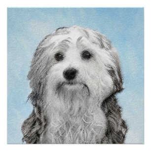 Lowchen schilderen - Kute Original Dog Art Perfect Poster