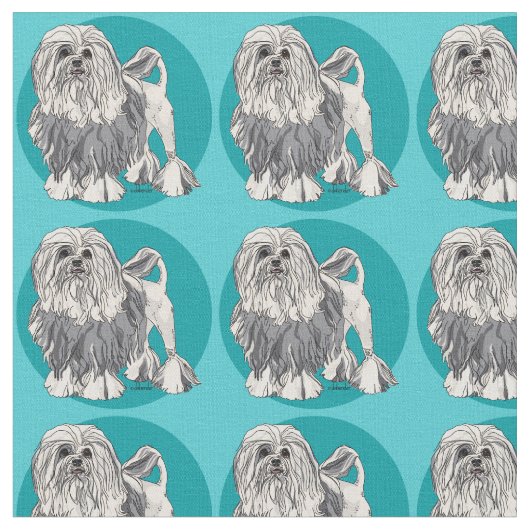 Lowchen Turquoise 2 Stof (Close Up)