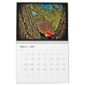 Lowcountry aménage le calendrier en parc 2014 (Feb 2026)