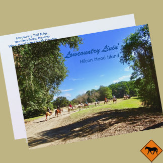 Lowcountry Horse Trail Rides Hilton Head Island SC Briefkaart