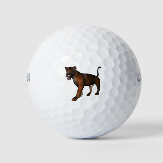 Löwe Golfballen (Voorkant)