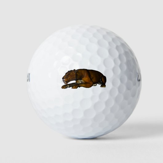 Löwe Golfballen (Voorkant)