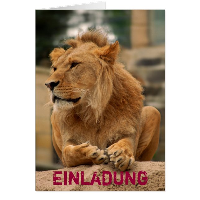 Löwe mit Punkerfrisur (Devant)