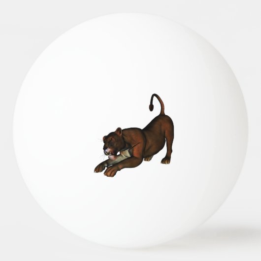 Löwe Pingpongballen (Voorkant)