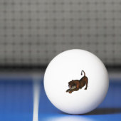 Löwe Pingpongballen (Net)
