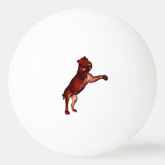 Löwe Pingpongballen