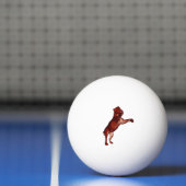 Löwe Pingpongballen (Net)