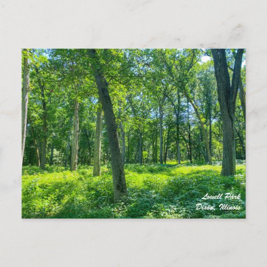 Lowell Park Dixon Illinois Briefkaart (Voorkant)
