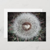 Löwenzahn Briefkaart (Voorkant / Achterkant)