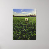 Löwenzahn Canvas Afdruk (Voorkant)