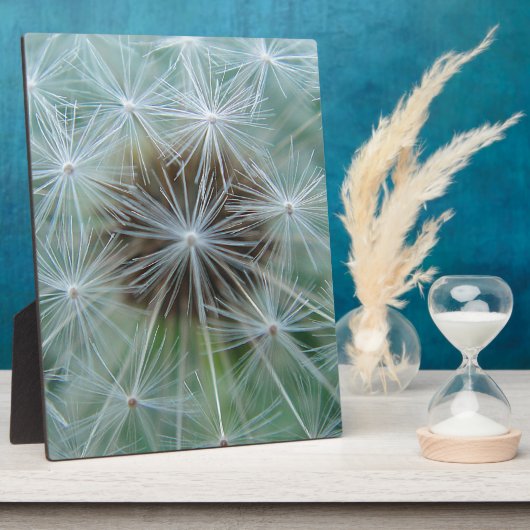 Löwenzahnmuster Fotoplaat (Zijkant)