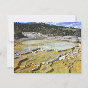 Lower Minerva Terrace, Yellowstone National Park Briefkaart