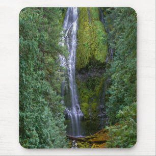 Lower Proxy Falls Willamette National Forest Muismat