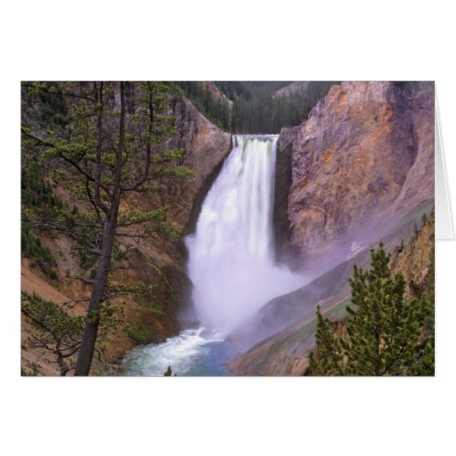 Lower Yellowstone Falls, Grand Canyon de (Devant horizontal)