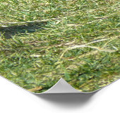 Lowland Gorilla Poster (Hoek)