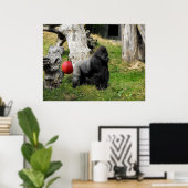 Lowland Gorilla silverback man in Durrell Zoo Poster (Thuiskantoor)