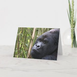 Lowland Gorilla Wenskaart Kaart
