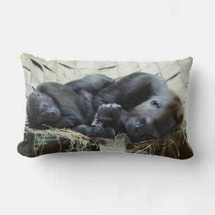 Lowland Gorillas Napping Kussen