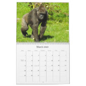 Lowland Gorillas van de dierentuin van de stad Kan Kalender (Mar 2026)