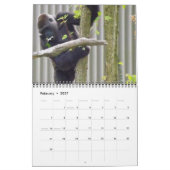 Lowland Gorillas van de dierentuin van de stad Kan Kalender (Feb 2027)