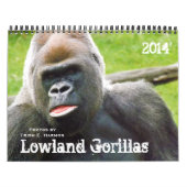 Lowland Gorillas van de dierentuin van de stad Kan Kalender (Hoes)