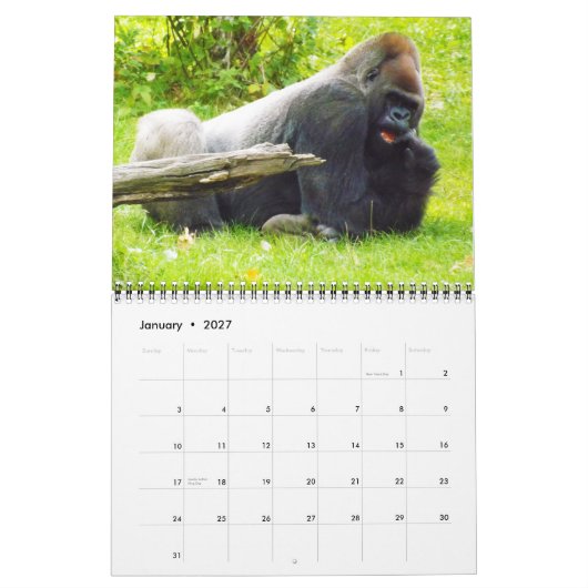 Lowland Gorillas van de dierentuin van de stad Kan Kalender (Jan 2027)