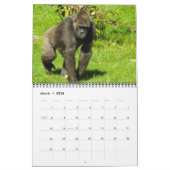 Lowland Gorillas van de dierentuin van de stad Kan Kalender (Mar 2026)