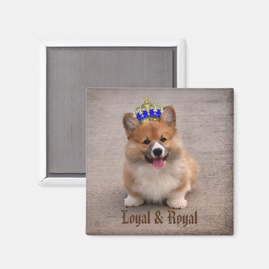 Loyal and Royal Corgi Puppy Magneet (Voorkant / Achterkant)