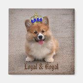 Loyal and Royal Corgi Puppy Magneet (Voorkant)