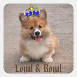 Loyal and Royal Corgi Puppy Vierkante Sticker