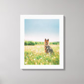 Loyal Gaze in the Meadow Canvas Afdruk (Voorkant)