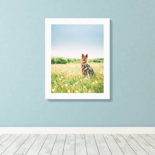 Loyal Gaze in the Meadow Canvas Afdruk (Insitu (Houten vloer))