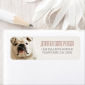 Loyal White Bulldog Retourner les étiquettes d'adr (En situation)