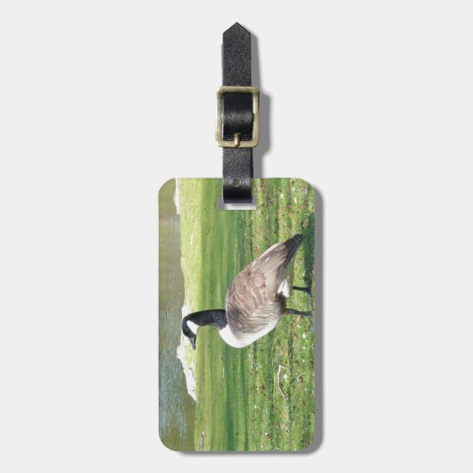 Lozen aan de voorkant, Wilde Levensdieren, Natuur Bagagelabel (Voorkant verticaal)