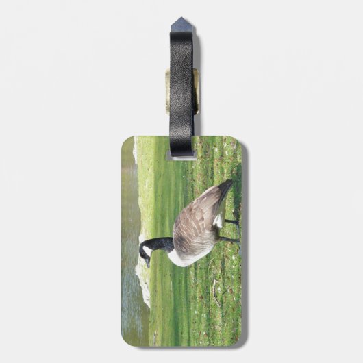 Lozen aan de voorkant, Wilde Levensdieren, Natuur Bagagelabel (Achterkant verticaal)