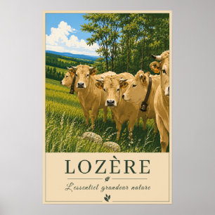 Lozère France – Cows – Vintage Travel Poster