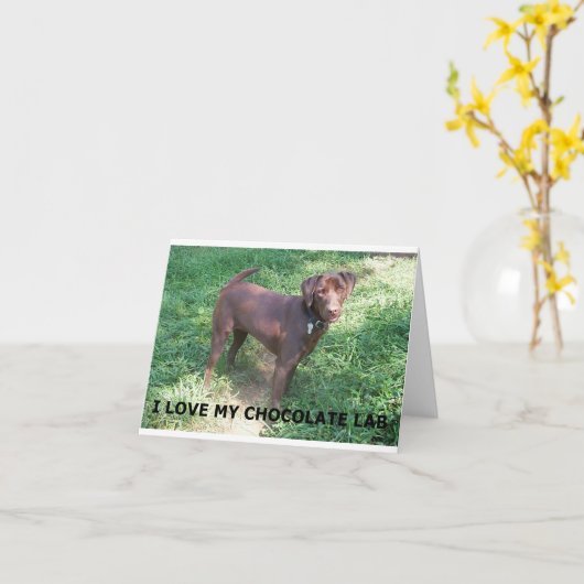 LR chocolade labrador liefde met foto Kaart (Gele Bloem)