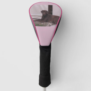LR-chocoladelab Golfheadcover