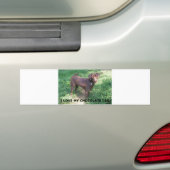 LR chocoladelab-liefde voor afbeelding Bumpersticker (Op auto)
