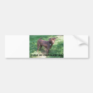 LR chocoladelab-liefde voor afbeelding Bumpersticker