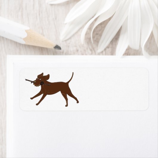 LR chocoladelab met stok Etiket (Insitu)