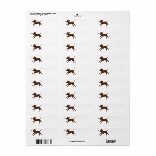 LR chocoladelab met stok Etiket (Full Sheet)