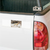 LR geel, vol Bumpersticker (Op Truck)