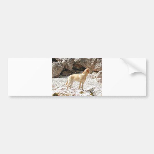 LR geel, vol Bumpersticker (Voorkant)