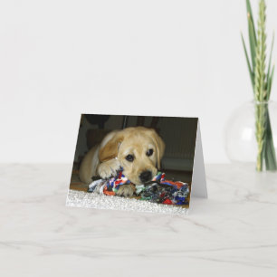 LR gele lab pup met speelgoed Kaart